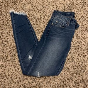 Articles of Society skinny jeans